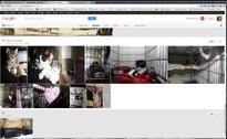 New photo tools in Google+ show promise (hands-on)