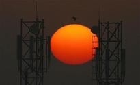 COAI plans to seek cancellation of 19 GSM permits of Tata Tele