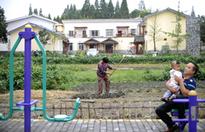 The Choice Is Sustainable Development
