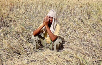 3 farmers end lives in MP; 15 since June 8 3 farmers end lives in MP; 15 since June 8
