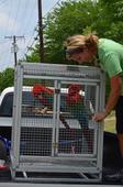 Fair Park's macaws have a summer adventure of their own