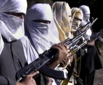 Pak Taliban offers ceasefire to the new government