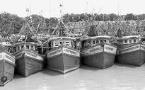 Fishing harbour wallows in neglect