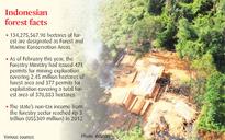Log exports threaten RI forests