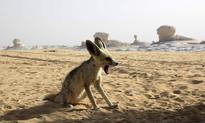 Top travel photos, May 24, 2013