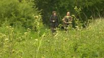 Volunteers go wild in species count