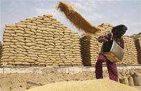 India to consider allowing extra wheat exports on Friday