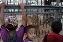 Hamas denies ownership of Gaza City amusement park