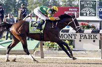 Palace Malice wins Belmont Stakes over Oxbow, Orb