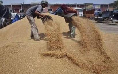 UPA to bring ordinance to implement Food Security Bill