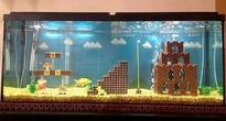 Mario Fish Tank Makes Us Want Pet Fish