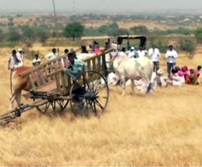Maha farmers `reclaim' land acquired by Nirav Modi's firm Maha farmers `reclaim' land acquired by Nirav Modi's firm