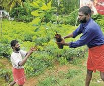 Technology makes tobacco sales simpler but growers feel lost