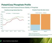 Potash Corp./Saskatchewan (USA) (POT): Is This the Best Stock in the Market Today?