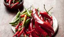 A user's guide to chillies