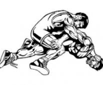 Raj Singh elected Asian Wrestling Council secretary general
