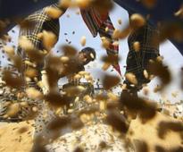The real moral failure in the food security Bill debate