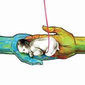 India's shame story: Israeli paedophile adopts girl through surrogate mother