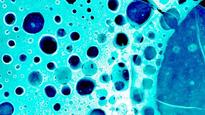 NTU, Lund University bioengineer molecule which can kill tumour cells