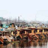 Green cause: Houseboats get  a new address in Dal Lake