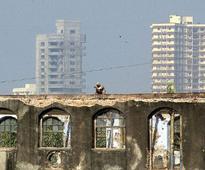 Decoding the great Indian real estate ponzi scheme