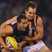 Hawk Hodge cleared at tribunal