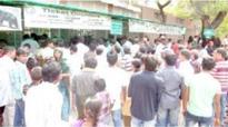 22631 visitors visit Zoo on...