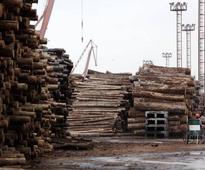 NSW premier rejects national park logging