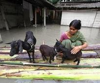 UN Unveils Guidelines to Help Girls, Women in Disasters
