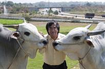 Ashok Kheny: miles of uncertainty