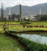 Setback for Vedanta: Apex court says gram sabhas must clear mining in Odisha