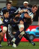 Brumbies get season back on track