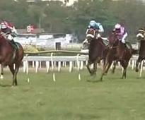 Convert Mumbai's Mahalaxmi Race Course into theme park, says Uddhav Thackeray