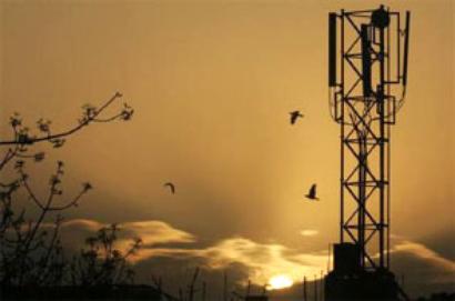 Crossholding in same telecom circle may go