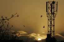 Tata Tele (Maharashtra) share sale cancelled