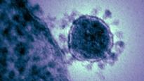 Fears grow over deadly new virus