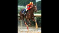 'Rose to Gold' earns Oaks Trip with Fantasy Stakes victory