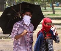 Heat wave unabated, Rajasthan's Sriganganagar sizzles at 48.2 degrees