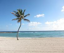 Paradise Island: The Ultimate Survival Guide to The Atlantis Resort, Paradise Island
