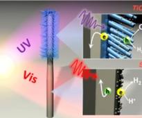Artificial Forest for Solar Water-Splitting: Berkeley Lab Researchers Report First Fully Integrated Artificial Photosynthesis Nanosystem