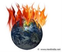 Research: Climate Change can Cause Widespread Global-scale Loss of Flora and Fauna