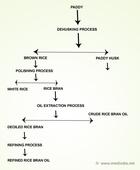 Rice Bran Oil