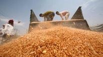 Samajwadi Party targets Government, says Food Security Bill is ''anti-farmers''