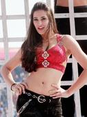 Akshay Kumar to share screen with Nargis Fakhri