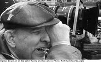Bergman auction canned after suspected theft