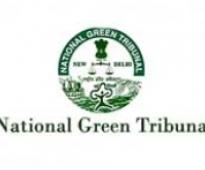 Green Tribunal issues notices for damage to Dadri wetlands