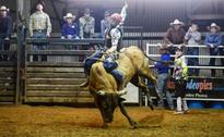 Mixed bag of results for Central Queensland sporting teams