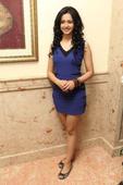 Rakul replaces Nithya in Gautham Karthik film
