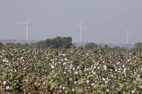 Tata Power May Sell Shares in Clean-Energy Unit Next Year