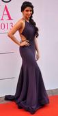 PIX: Asin, John Abraham on the Miss India 2013 red carpet